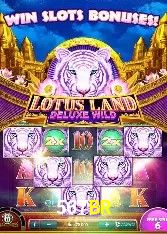 567BR BET